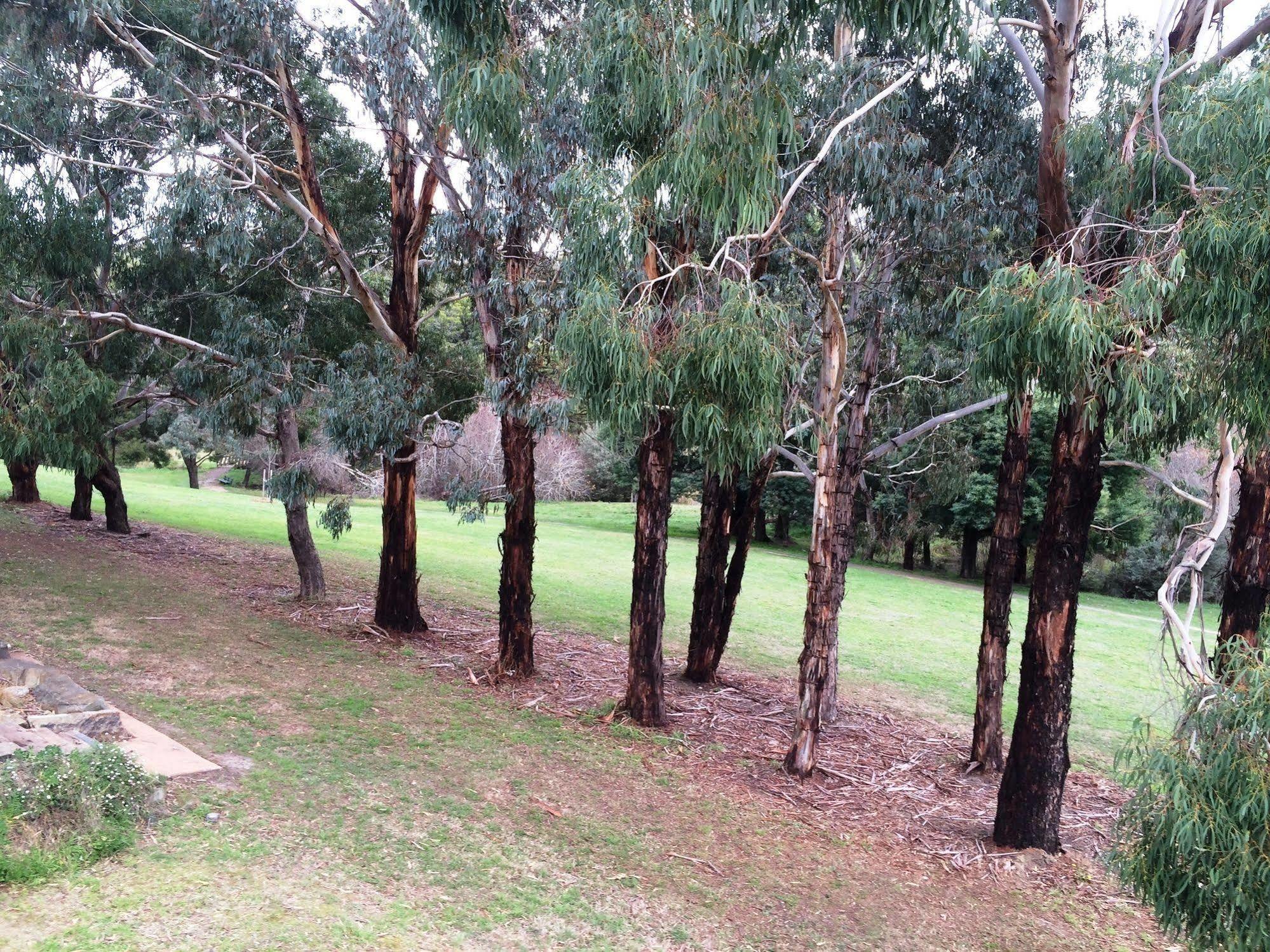 Hotel Daylesford By The Lake Cute&Cosy Studio Exterior foto